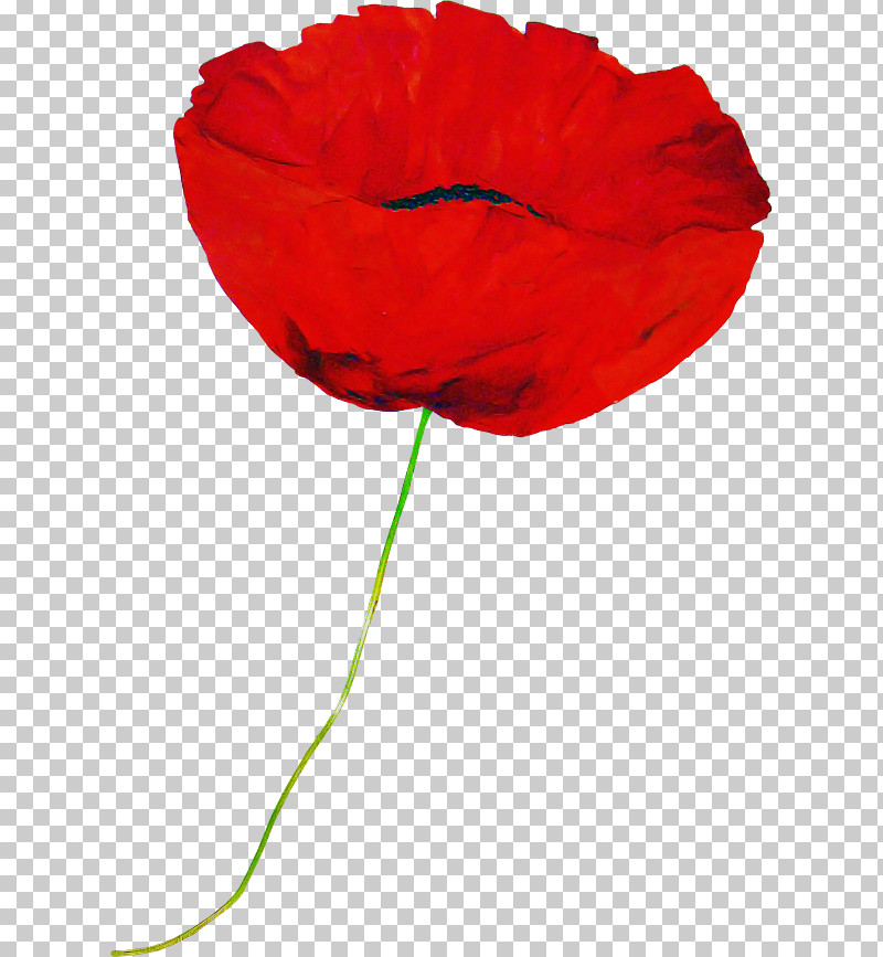 Red Flower Coquelicot Petal Corn Poppy PNG, Clipart, Coquelicot, Corn Poppy, Flower, Leaf, Oriental Poppy Free PNG Download