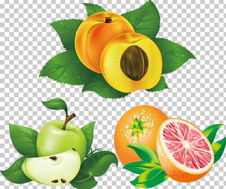 Fruit Peach Apricot Illustration PNG, Clipart, Apple Vector, Apr, Citrus, Encapsulated Postscript, Fall Leaves Free PNG Download