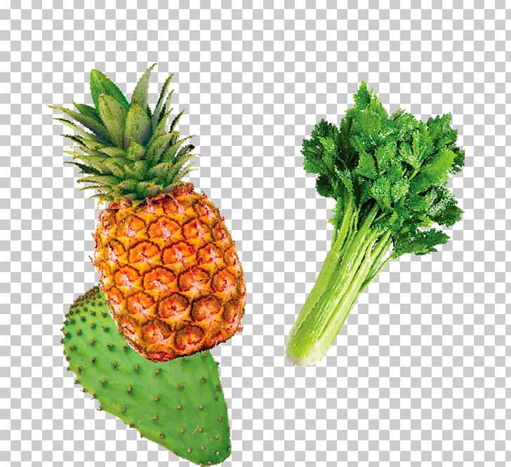 Pineapple Orange Juice Fruchtsaft Grapefruit Juice Vegetarian Cuisine PNG, Clipart, Ananas, Bromeliaceae, Celery, Commodity, Diet Food Free PNG Download