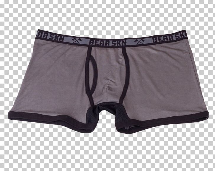 Underpants Swim Briefs Boxer Briefs Trunks PNG, Clipart, Active Shorts, Active Undergarment, Bear, Black, Blue Free PNG Download
