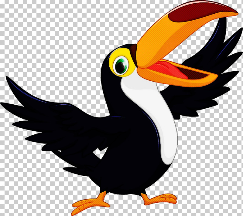 Bird Toucan Beak Piciformes Cartoon PNG, Clipart, Beak, Bird, Cartoon, Flightless Bird, Hornbill Free PNG Download