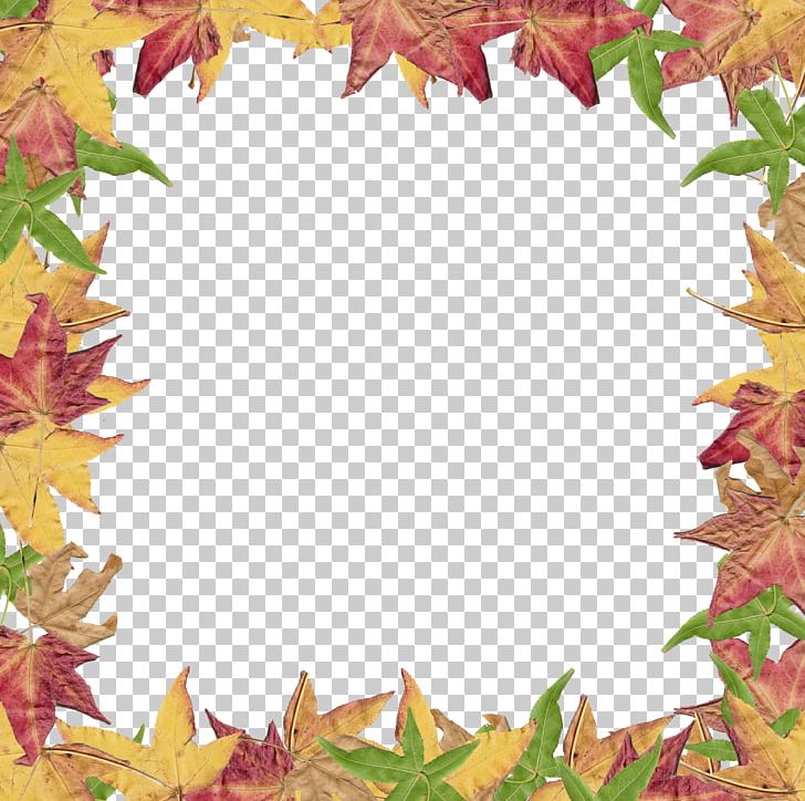 Autumn Leaf Color PNG, Clipart, Autumn, Autumn Leaf Color, Blog, Border Leaves Cliparts, Cartoon Free PNG Download