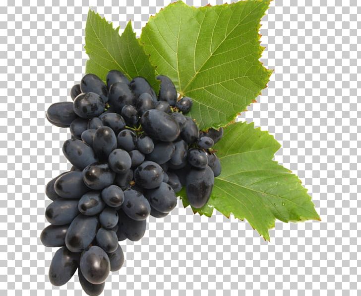 Common Grape Vine Wine Seedless Fruit Food PNG, Clipart, Berry, Bilberry, Blackberry, Blueberry, Chokeberry Free PNG Download