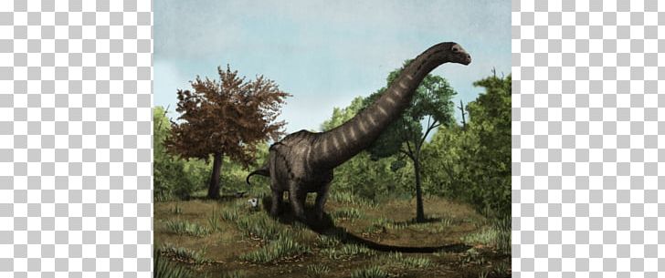 Dreadnoughtus Velociraptor Talenkauen Dinosaur Deinonychus PNG, Clipart, Animal, Carnotaurus, Cretaceous, Deinonychus, Dinosaur Free PNG Download