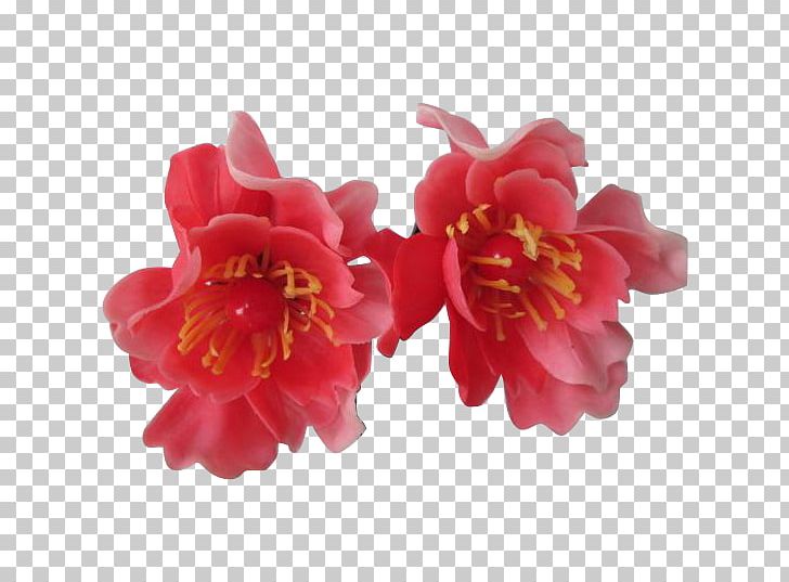 Peony Camellia PNG, Clipart, Camellia, Flower, Flowering Plant, Nature, Peony Free PNG Download