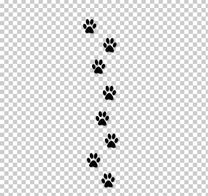 West Highland White Terrier Cat PNG, Clipart, Animals, Black, Black And White, Body Jewelry, Cat Free PNG Download