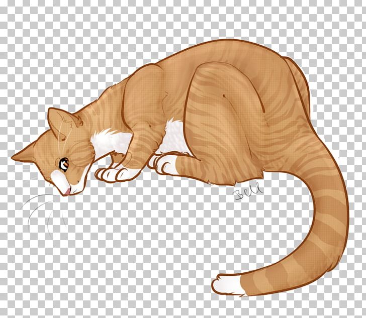 Whiskers Kitten Tabby Cat Dog PNG, Clipart, Anhinga, Animals, Big Cat, Big Cats, Canidae Free PNG Download