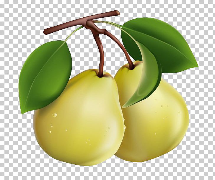 Pear Berry Fruit PNG, Clipart, Apple, Apple Pears, Berry, Citrus, Food Free PNG Download