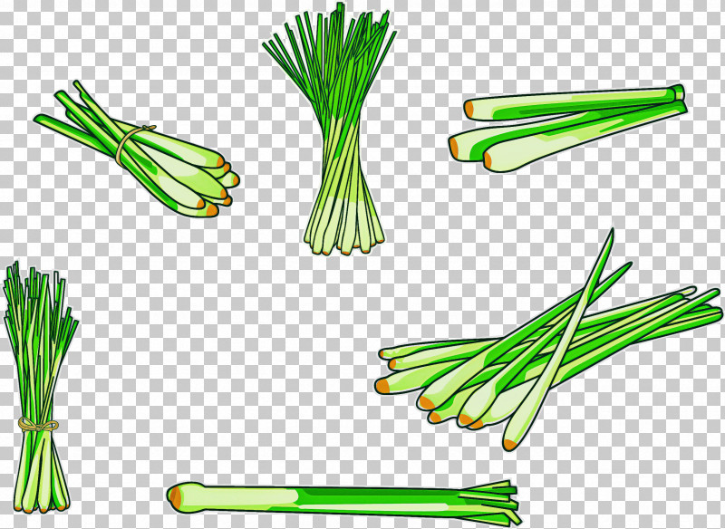 Chives Welsh Onion Vegetable Plant Leek PNG, Clipart, Allium, Amaryllis Family, Chives, Garlic Chives, Grass Free PNG Download