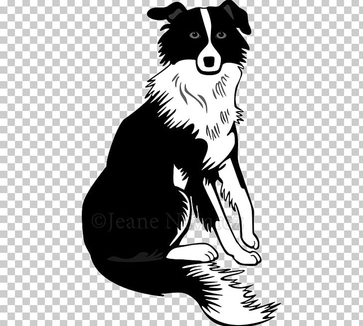 Border Collie Rough Collie Bearded Collie Puppy PNG, Clipart, Animals, Art, Border Collie, Carnivoran, Cat Like Mammal Free PNG Download