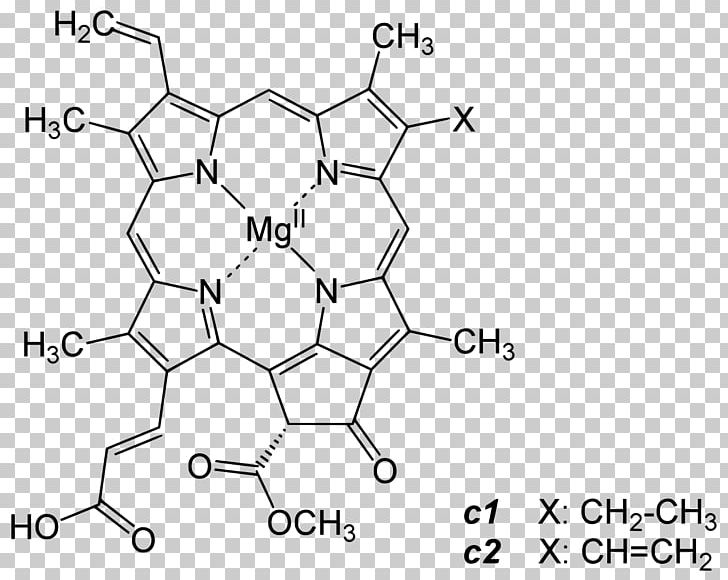 Chlorophyll A Chlorophyll B Photosynthesis Protochlorophyllide PNG, Clipart, Angle, Area, Auto Part, Biochemistry, Biological Pigment Free PNG Download