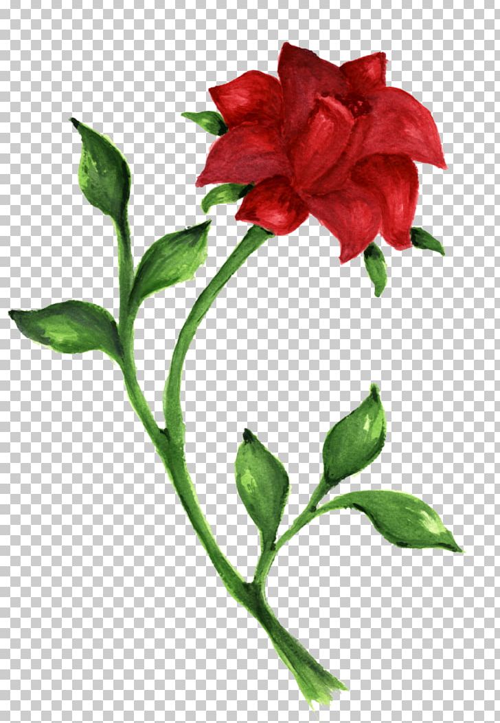 Rose Drawing Desktop PNG, Clipart, Blue Rose, Branch, Bud, Cut Flowers, Desktop Wallpaper Free PNG Download
