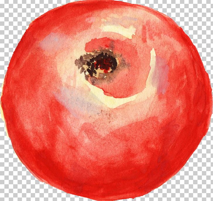 Tomato Watercolor Painting PNG, Clipart, Apple, Food, Fruit, Painting, Seedless Fruit Free PNG Download