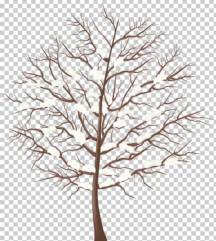 Tree PNG, Clipart, Black And White, Blog, Bonsai, Branch, Clipart Free PNG Download