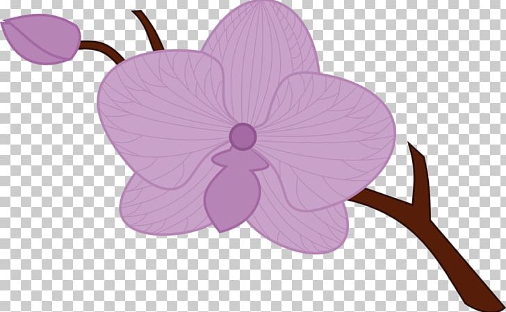 Drawing Orchids PNG, Clipart, Cut Flowers, Drawing, Encapsulated Postscript, Flora, Flower Free PNG Download