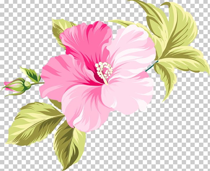 Flower Hawaii PNG, Clipart, Annual Plant, Azalea, China Rose, Chinese Hibiscus, Decoupage Free PNG Download