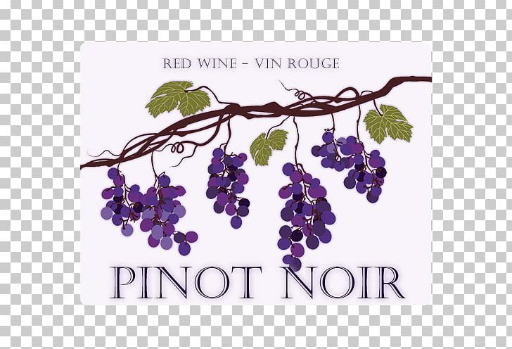 Grape Pinot Noir Wine PNG, Clipart, Art, Branch, Common Grape Vine, Drawing, Flowering Plant Free PNG Download
