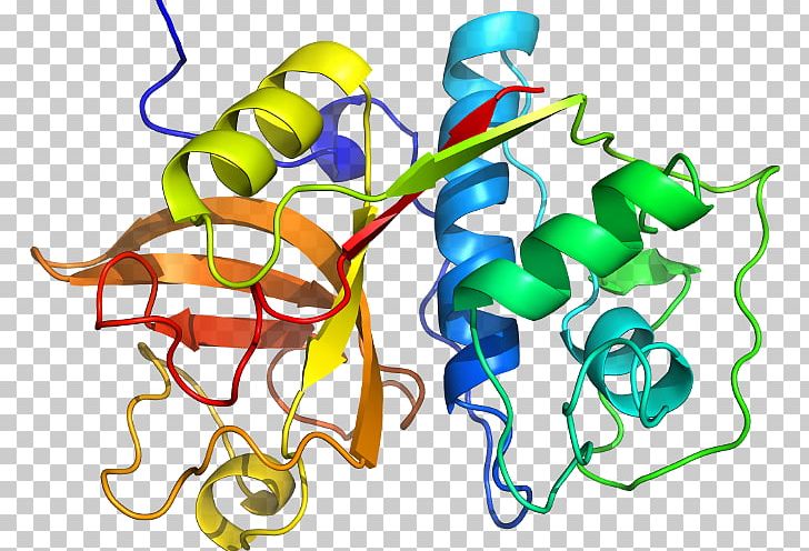 KLK6 Binding Immunoglobulin Protein Protein Data Bank Kallikrein PNG, Clipart, Area, Artwork, Cholera Toxin, Demethylase, Gene Free PNG Download