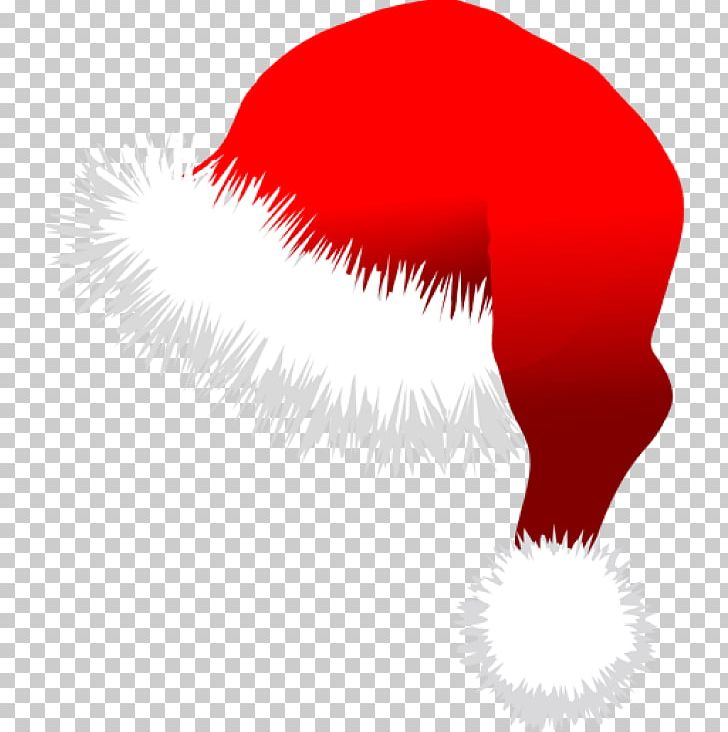 Santa Claus Portable Network Graphics Christmas Day PNG, Clipart, Bonnet, Christmas Day, Fictional Character, Hat, Nightcap Free PNG Download