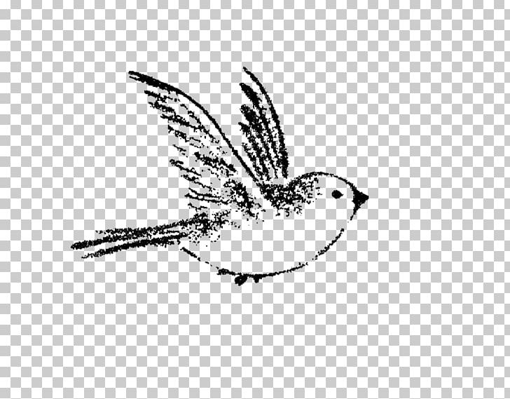 Sparrow Bird Drawing Swallow Tattoo Painting PNG, Clipart, Animal, Animals, Area, Art, Artwork Free PNG Download