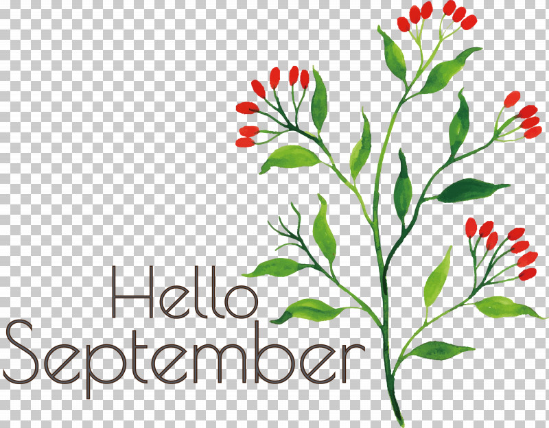 Hello September September PNG, Clipart, Drawing, Hello September, Painting, September, Vector Free PNG Download