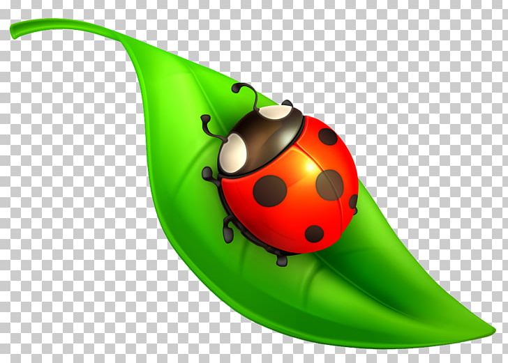 Insect Seven-spot Ladybird Computer Icons PNG, Clipart, Animals, Beetle, Coccinella, Computer Icons, Desktop Wallpaper Free PNG Download