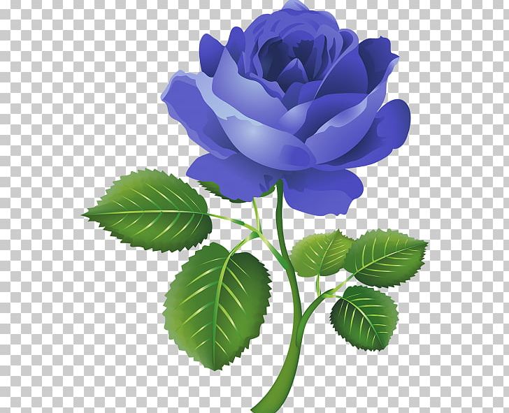 Rose Flower PNG, Clipart, Blue, Blue Rose, Color, Computer Icons, Cut Flowers Free PNG Download