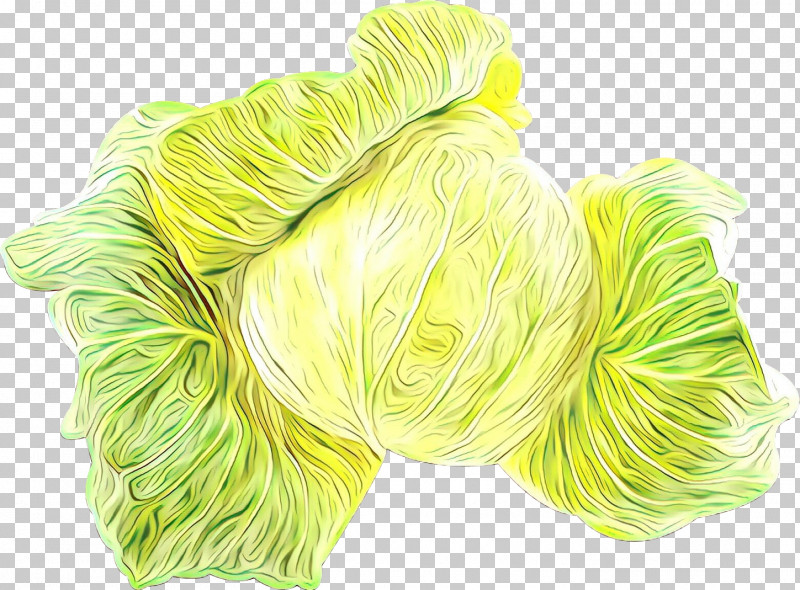 Green Yellow Thread Wool Textile PNG, Clipart, Green, Plant, Textile, Thread, Wool Free PNG Download
