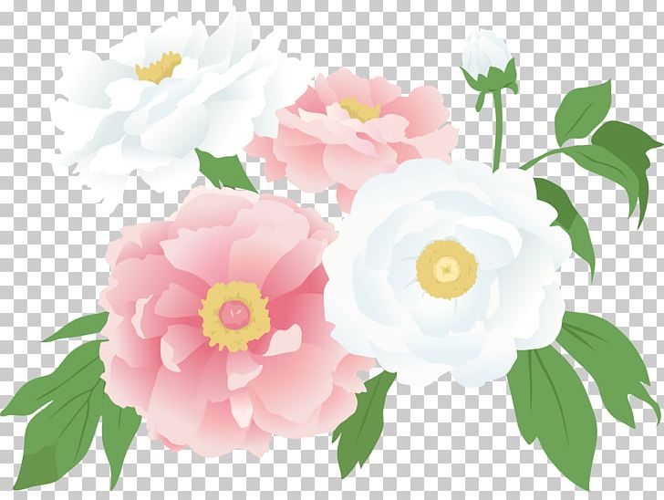 Centifolia Roses Cut Flowers Piano Garden Roses PNG, Clipart, Annual Plant, Camellia, Centifolia Roses, Cut Flowers, Floral Design Free PNG Download