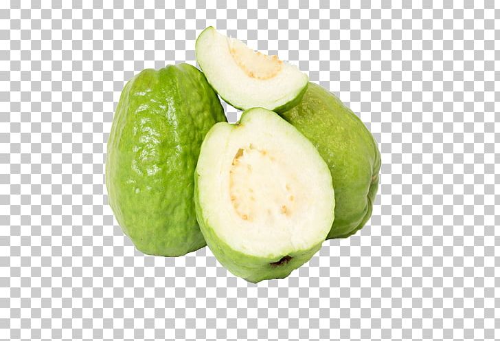 Common Guava Fruit Crisp Java Plum PNG, Clipart, Apple, Arbi, Common Guava, Crisp, Cucumber Gourd And Melon Family Free PNG Download