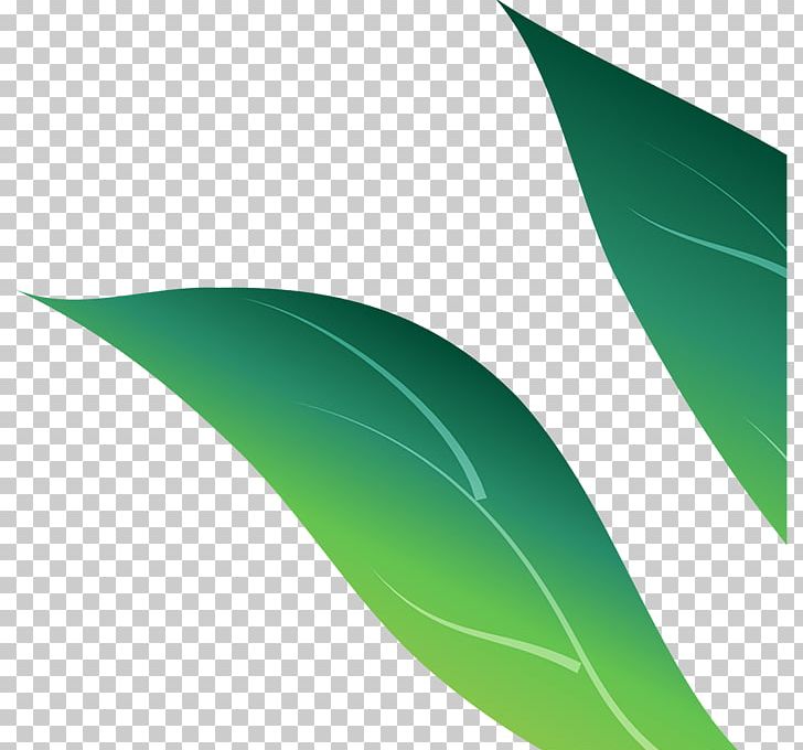 Green Leaf PNG, Clipart, Art, Grass, Green, Leaf, Line Free PNG Download