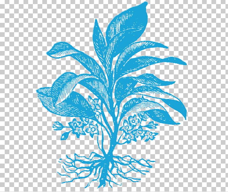 Hay Fever Asthma Allergy Inhaler Plant PNG, Clipart, Allergy, Aquarium Decor, Artwork, Asthma, Black And White Free PNG Download