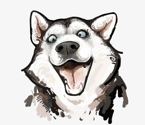 Husky Watercolor PNG, Clipart, Animal, Dog, Hatchie, Husky, Husky Clipart Free PNG Download