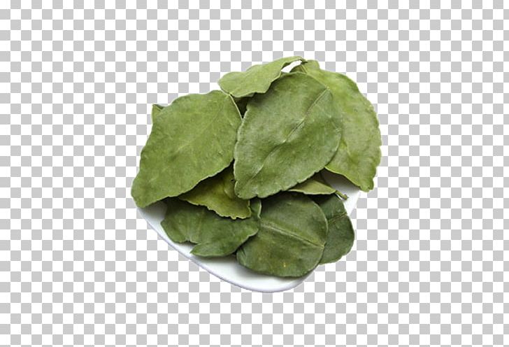 Leaf Lemon Computer File PNG, Clipart, Banana Leaves, Concepteur, Download, Dry, Encapsulated Postscript Free PNG Download