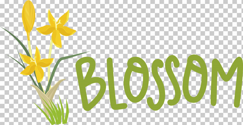 Floral Design PNG, Clipart, Commodity, Floral Design, Grasses, Happiness, Leaf Free PNG Download