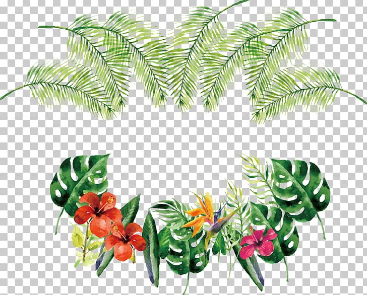 Flower Euclidean Rose Icon PNG, Clipart, Banana Leaves, Border Frame, Computer Icons, Encapsulated Postscript, Flora Free PNG Download
