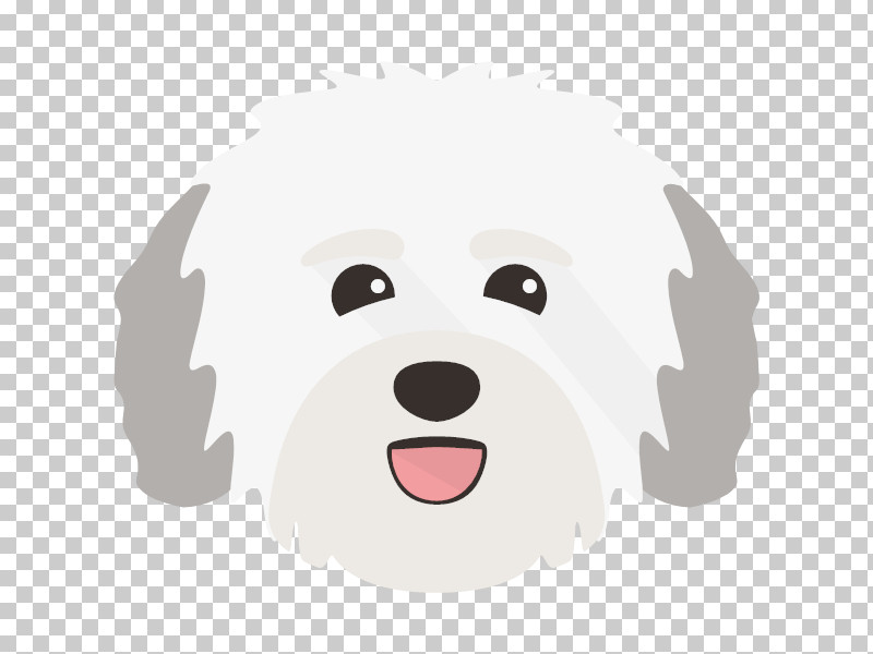 Puppy Glen Havanese Dog Terrier Breed PNG, Clipart, Breed, Dog, Dog Bed, Dog Bowl, Dog Collar Free PNG Download