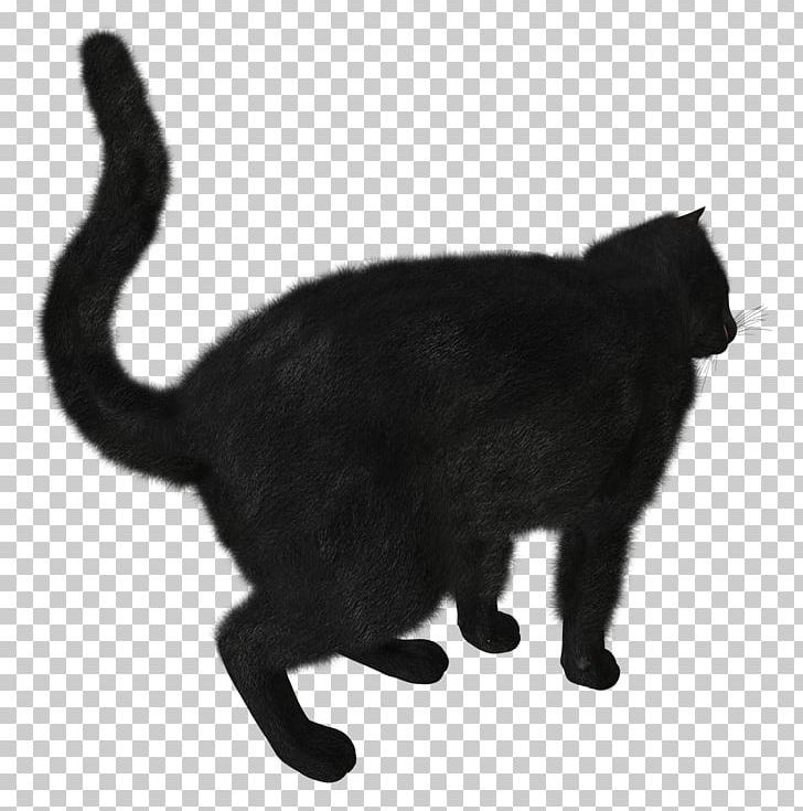 Black Cat Kitten PNG, Clipart, Animals, Black, Black And White, Black Cat, Bombay Free PNG Download