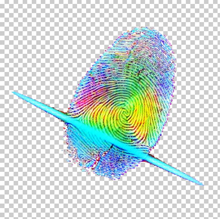 Feather Parakeet Pet Beak Close-up PNG, Clipart, Animals, Beak, Bird, Closeup, Common Pet Parakeet Free PNG Download