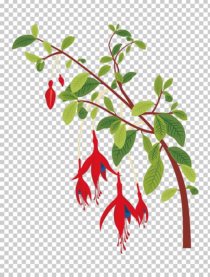 Flower Plant PNG, Clipart, Branch, Christmas Decoration, Decoration, Decorative Vector, Encapsulated Postscript Free PNG Download