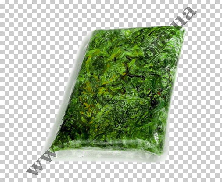Hiyashi Chūka Wakame Leaf Vegetable Salad Price PNG, Clipart, Algae, Aonori, Grass, Kiev, Leaf Vegetable Free PNG Download