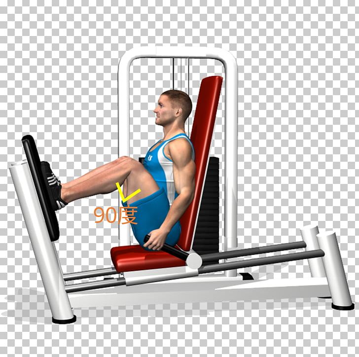 Leg Press Exercise Quadriceps Femoris Muscle Squat PNG, Clipart, Arm, Bench, Cosa, Exercise, Exercise Bands Free PNG Download