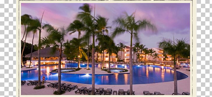 Occidental Punta Cana Hilton Hawaiian Village Hotel Beach Trivago NV PNG, Clipart, Allinclusive Resort, Arecales, Bavaro, Beach, Bed And Breakfast Free PNG Download