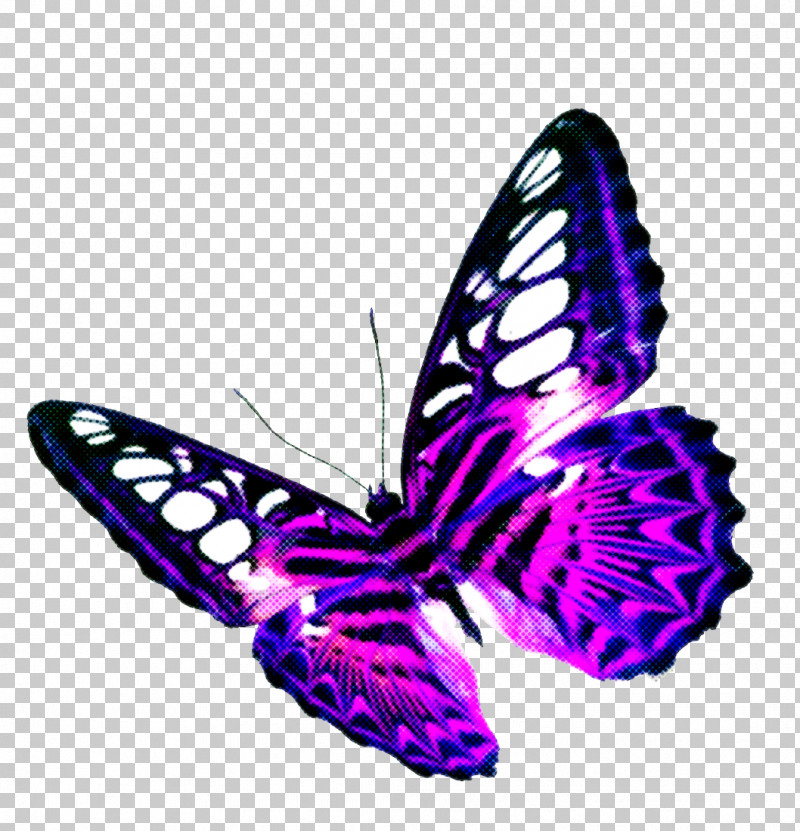 Butterfly Moths And Butterflies Purple Insect Violet PNG, Clipart, Brushfooted Butterfly, Butterfly, Insect, Moths And Butterflies, Pollinator Free PNG Download