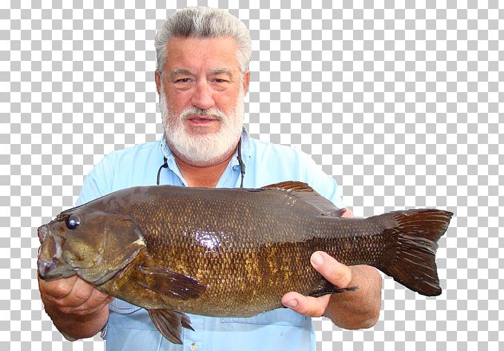 Mike Mladenik Crivitz 09777 Cod Fishing PNG, Clipart, 09777, Animal Source Foods, Bass, Bass Fishing, Bony Fish Free PNG Download