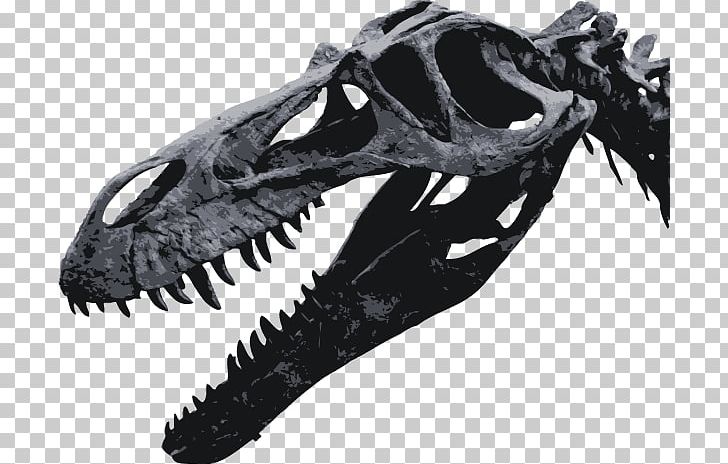 Torvosaurus Tyrannosaurus Maxilla Dinosaur Jaw PNG, Clipart, Animal, Bone, Carnivore, Com, Cretaceous Free PNG Download