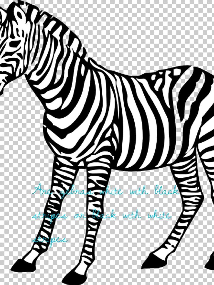 Baby Zebra Coloring Book Animal PNG, Clipart, Adult, Animal, Animal Figure, Animal Print, Animals Free PNG Download