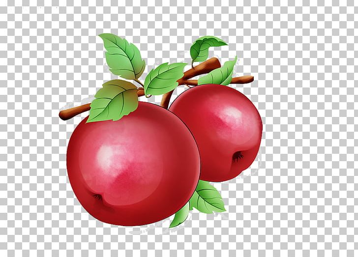 Barbados Cherry Apple Auglis PNG, Clipart, Acerola Family, Apple, Apple Fruit, Food, Fruit Free PNG Download