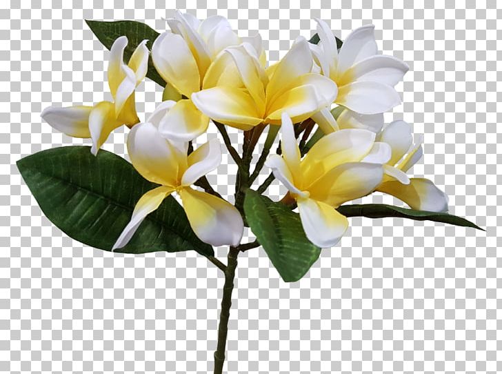 Cut Flowers Flower Bouquet Artificial Flower Floral Design PNG, Clipart, Artificial Flower, Arumlily, Branch, Cut Flowers, Floral Design Free PNG Download