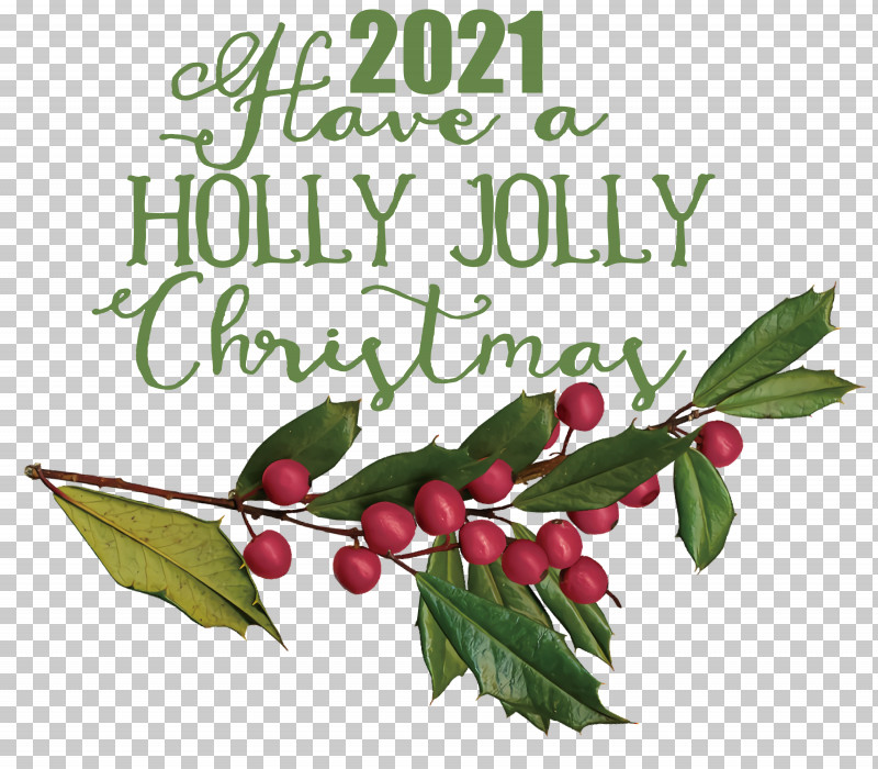 Holly Jolly Christmas PNG, Clipart, Aquifoliales, Bauble, Biology, Christmas Day, Fruit Free PNG Download